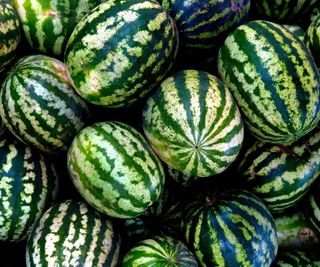 lots of watermelons in a pile - how to pick a watermelon