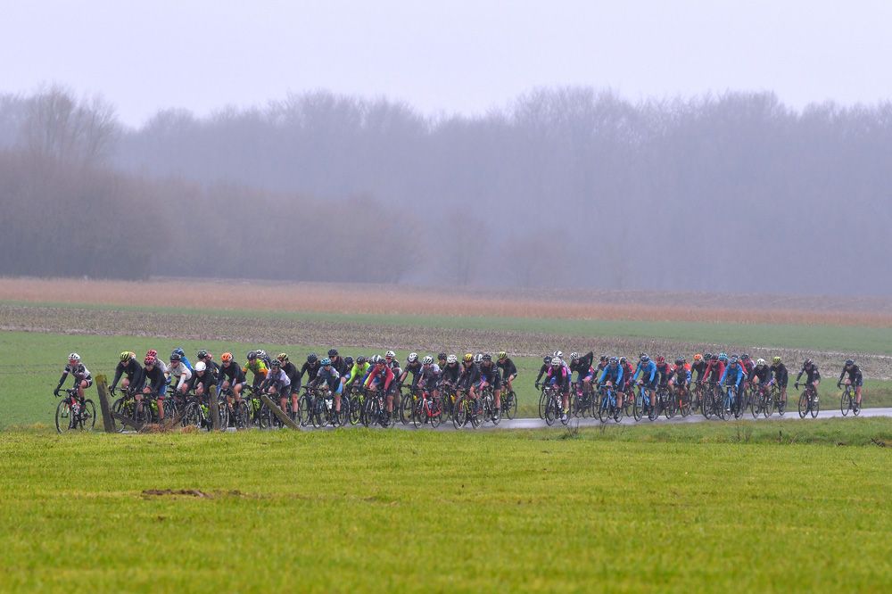 The Dwars door Vlaanderen peloton