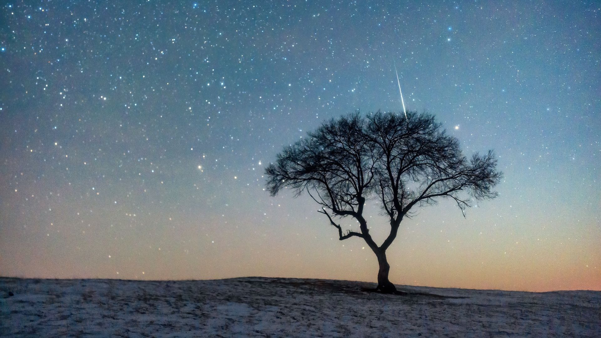 Leonids 2025: One of the year’s last meteor showers could peak with bright ‘fireballs’ this week