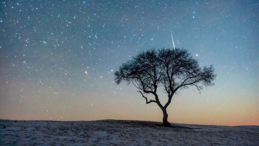 a photo of a meteor shower during sunset with the silhouette of a single tree