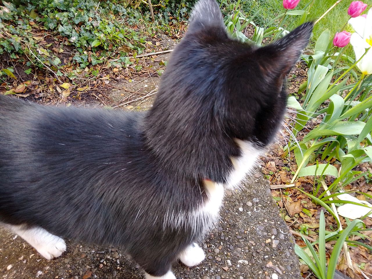 A Nokia G11 camera sample