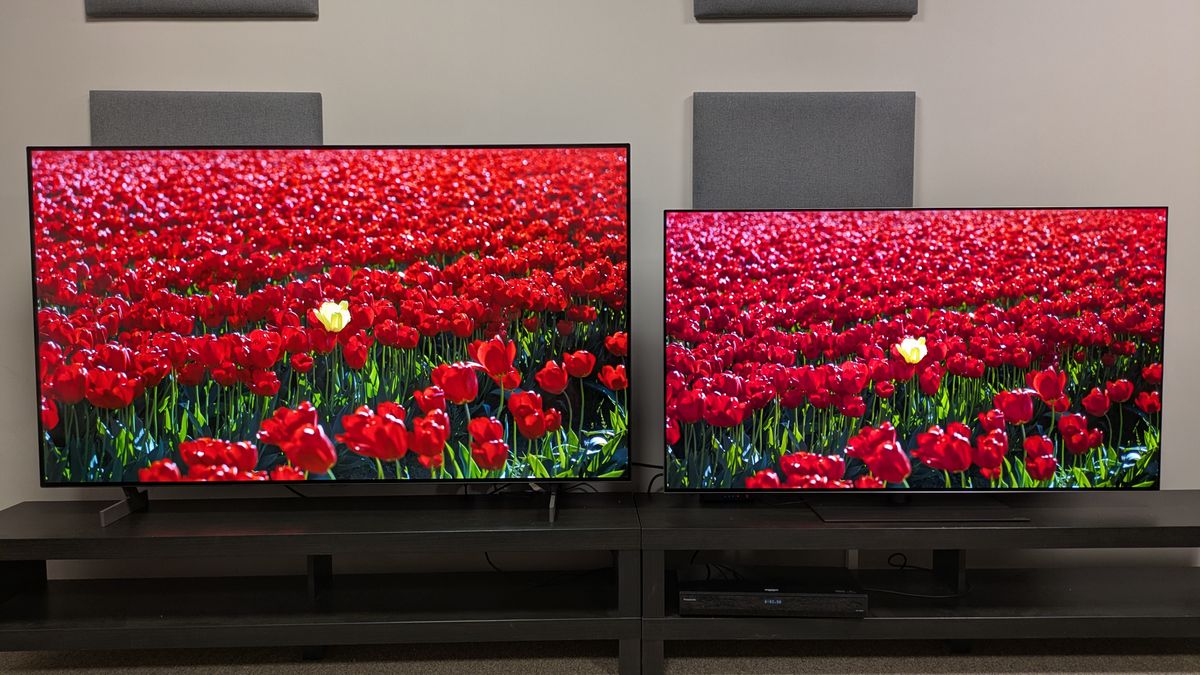 The LG B6 (left) and LG G6 (right) showing red flowers on screen. Both TVs have good color brightness, but the B6 actually shows deeper colors in this shot. 