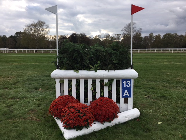 Fence 13a