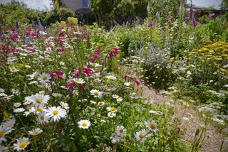 cottage garden with flowerbeds packed with flowers