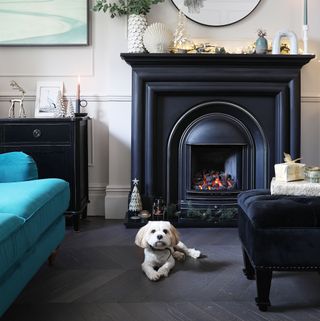 dog in front of fireplace on hardwood floor