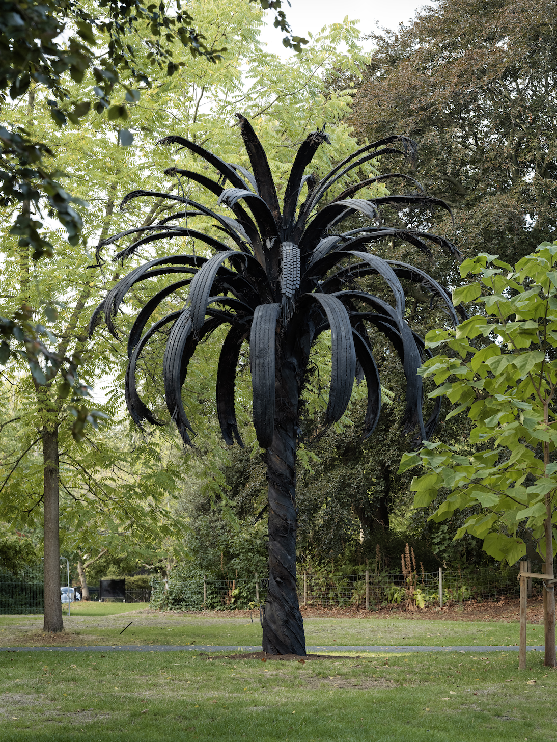 black palm tree