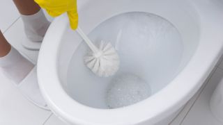Cleaning toilet with a toilet brush
