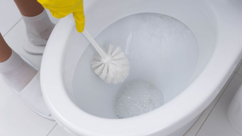 Cleaning toilet with a toilet brush