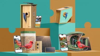 A selection of Birdfy birdfeeders.