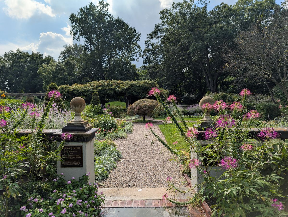 Google Pixel 9 Pro camera samples for review