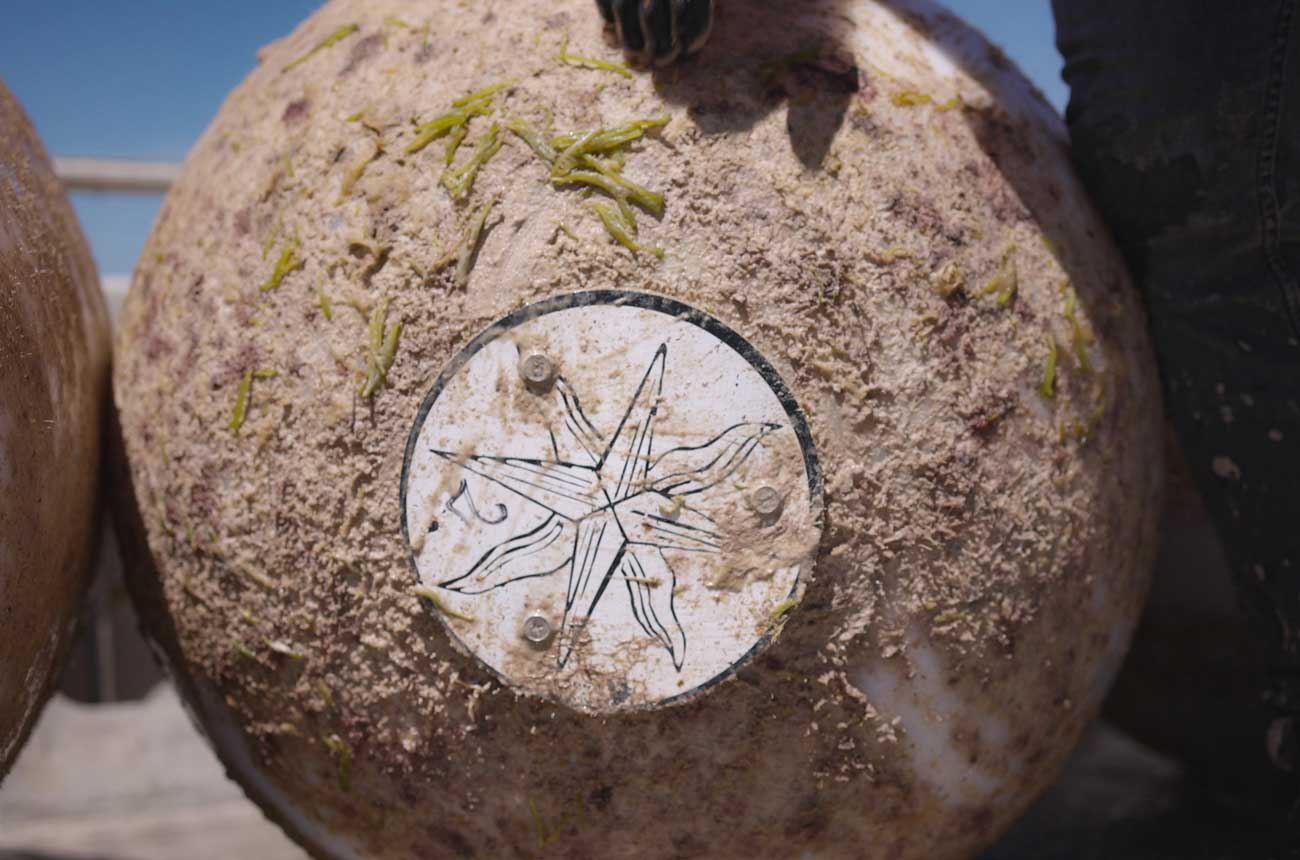 Ageing vessels Winereef