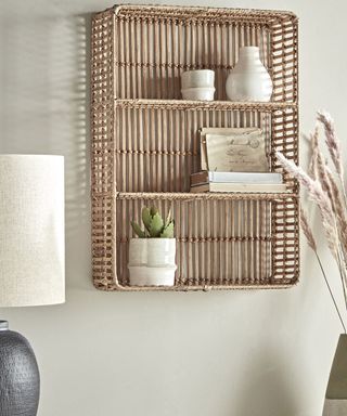 Rattan shelf with potted succulent by Cox and Cox