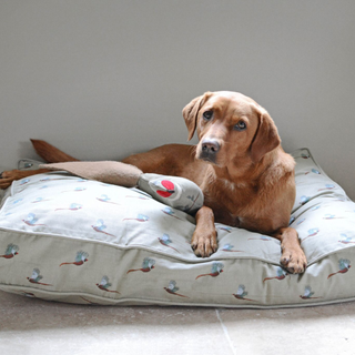 Brown labrador on pheasant patterend bed with pheasant toy