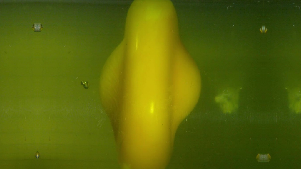 Still frame captured from a high-speed video of a spinning egg yolk decelerating, squishing into a flat disk