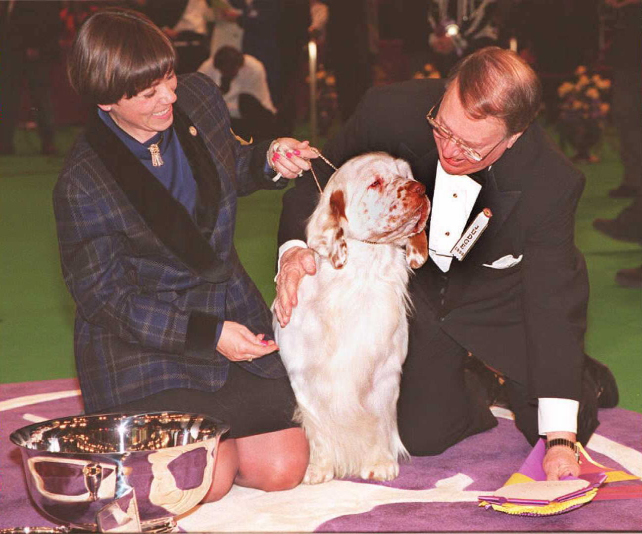 Winner of the best in show category at the Westminster Kennel Club, Country Sunrise (C) is congratulated by her agent Jane Meyers (L) and the judge Roy Holloway (R) 13 February in New York. The Clumber Spaniel also won the best of the Sporting category at the show