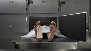 A stock image of a cadaver in a morgue. The person's foot has a toe tag on it.