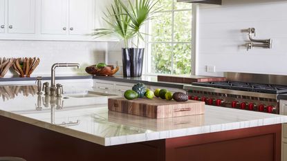 a kitchen countertop with food on top