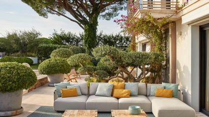  terrace of villa with cloud pruned olive trees, pale gray modular sofas with blue and yellow cushions, blue rug and wooden coffee tables 