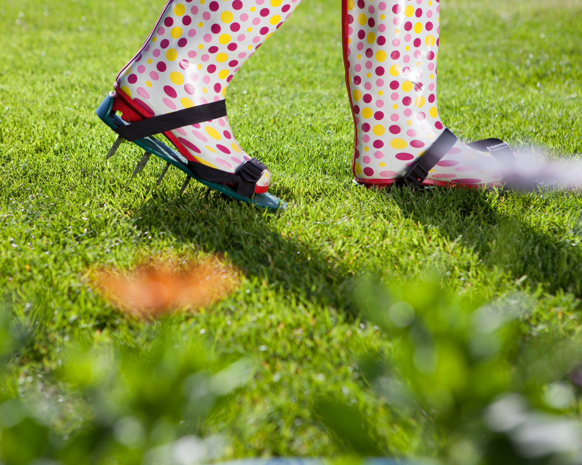 person wearing bright wellies and lawn aerator soles to aerate lawn