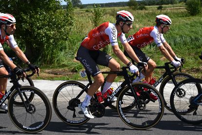 Cofidis team bike 2019 on sale