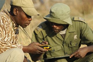 Professional trackers search for wildlife.