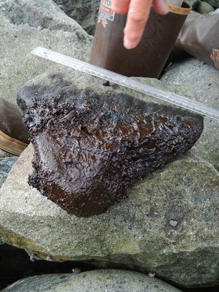 Scientists measure oil on small stones between boulders on beaches in the Gulf of Alaska. The rocky, high-energy coastlines southwest of the 1989 Exxon Valdez oil spill contain small remnants of the spill which appear to be protected by a stable boulder and cobble "armor", according to researchers.