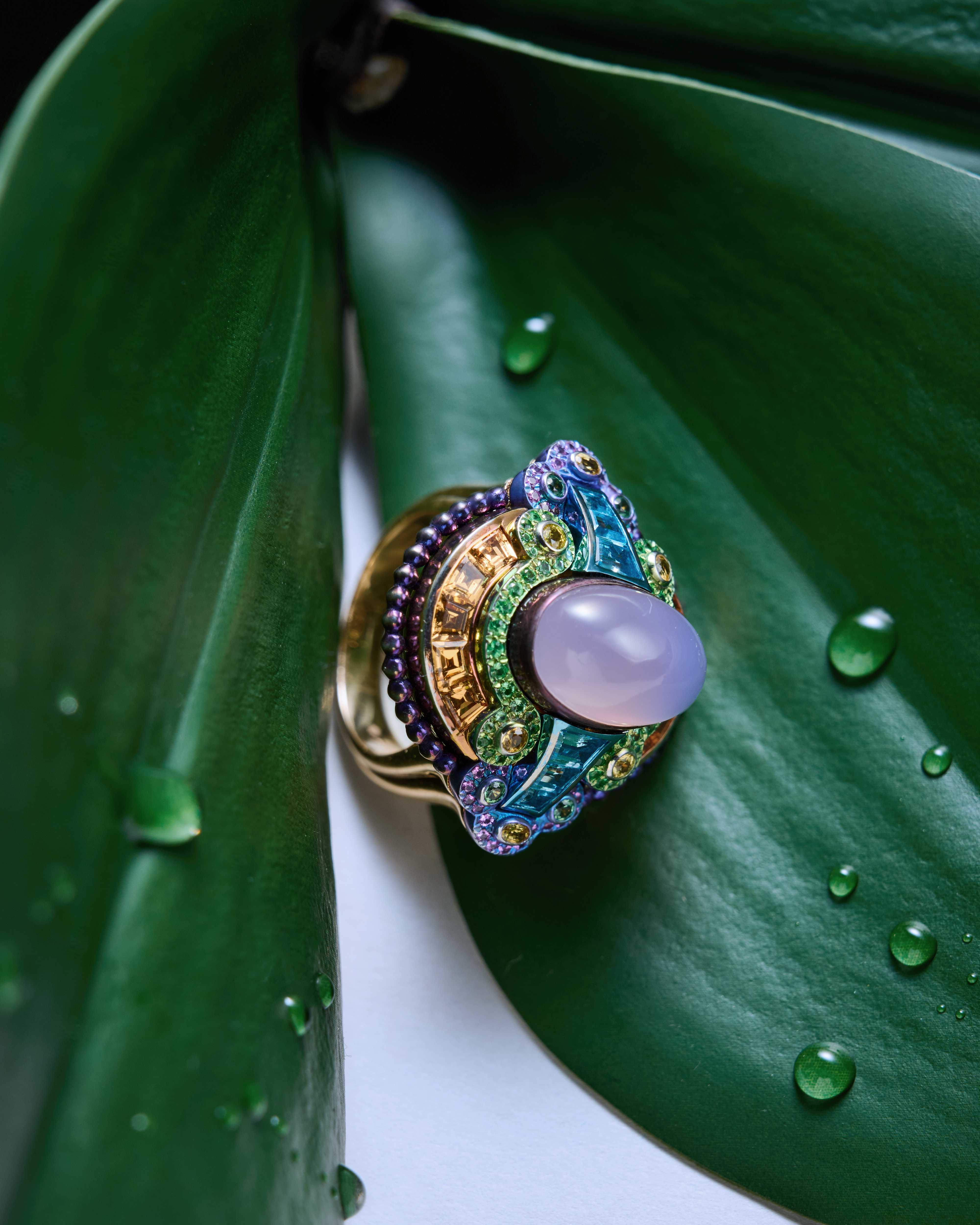 colourful ring on a green leaf