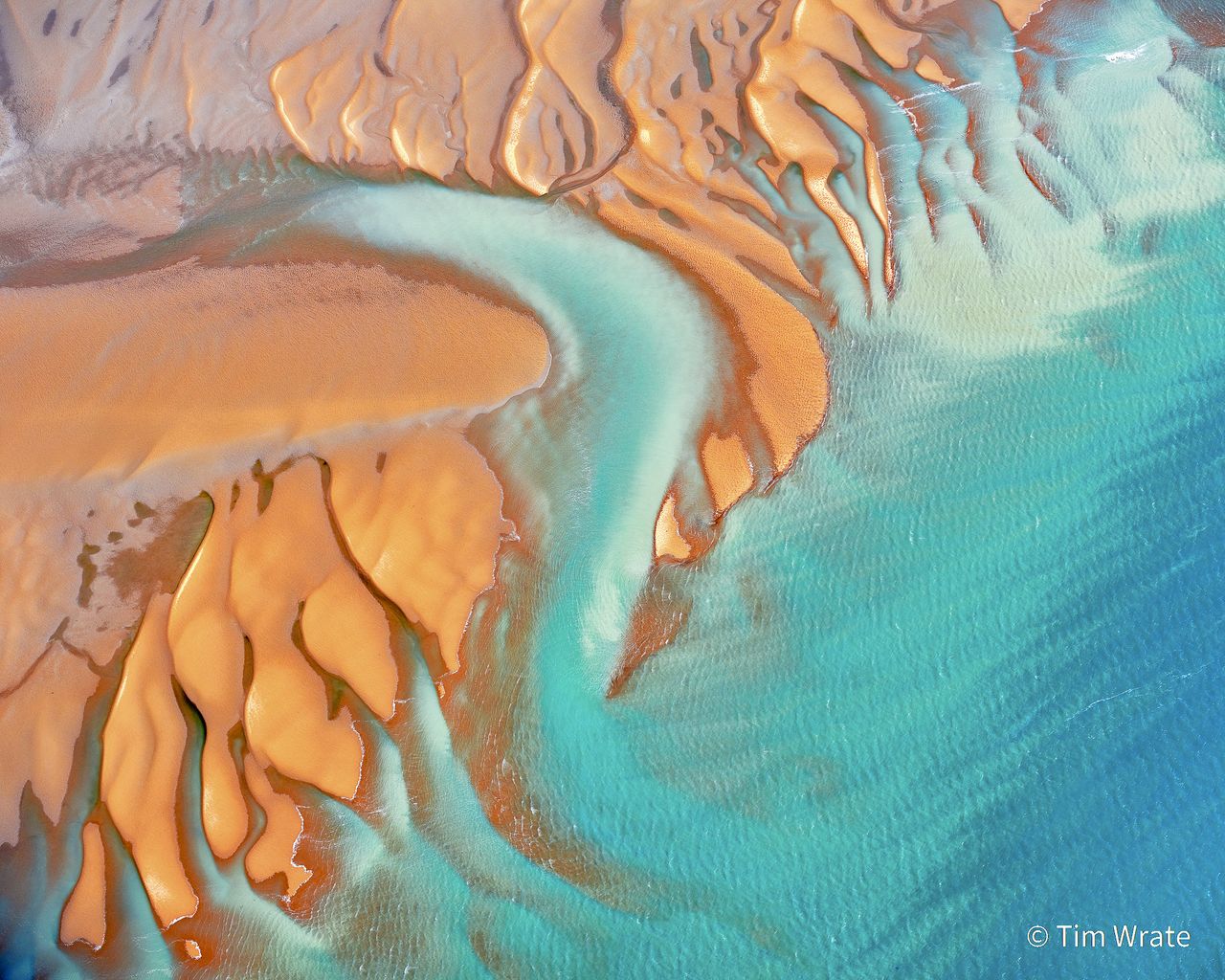 Australian Geographic Nature Photographer of the Year 2021