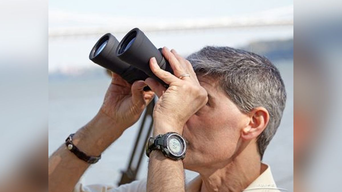 Celestron cometron 7x50 binoculars in the hand
