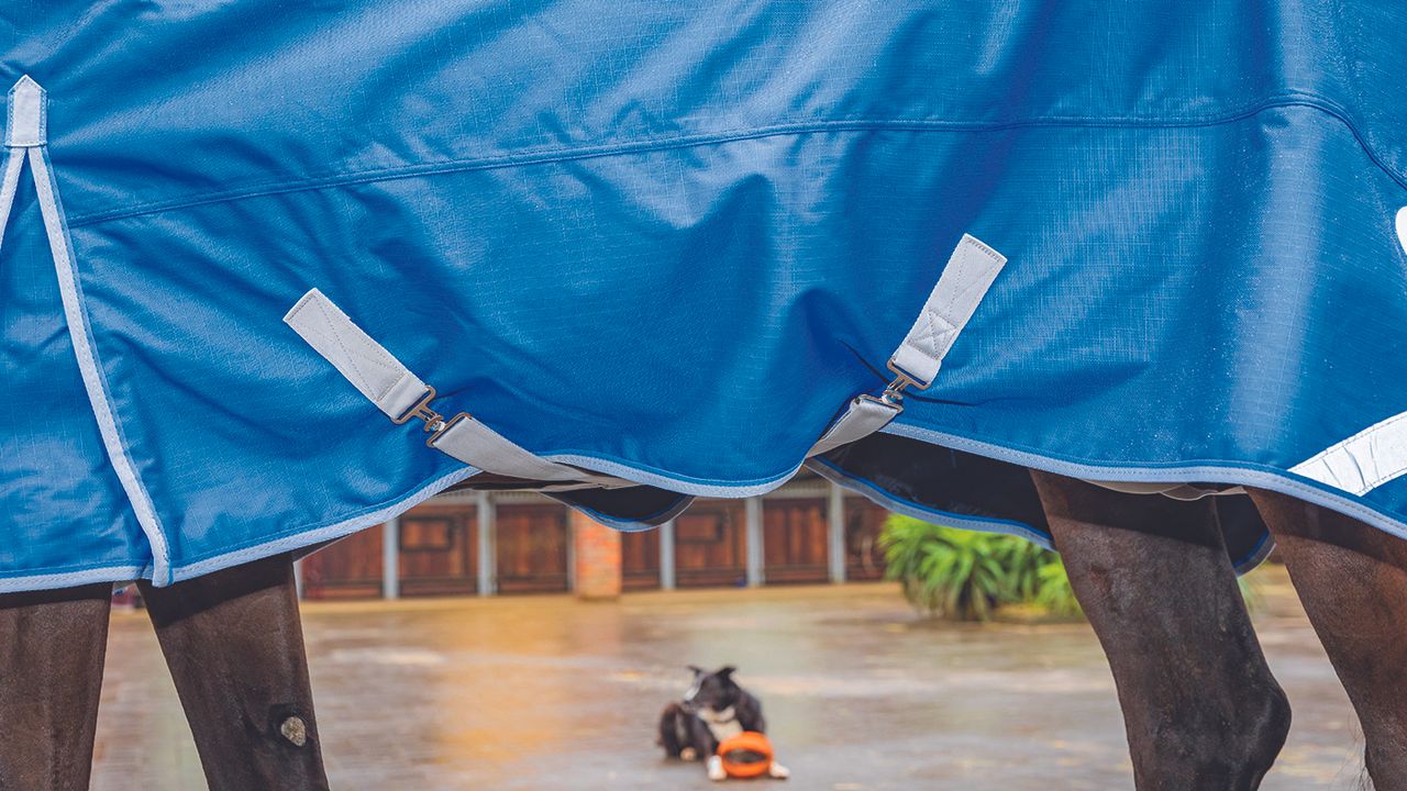 Swish Equestrian lightweight turnout review