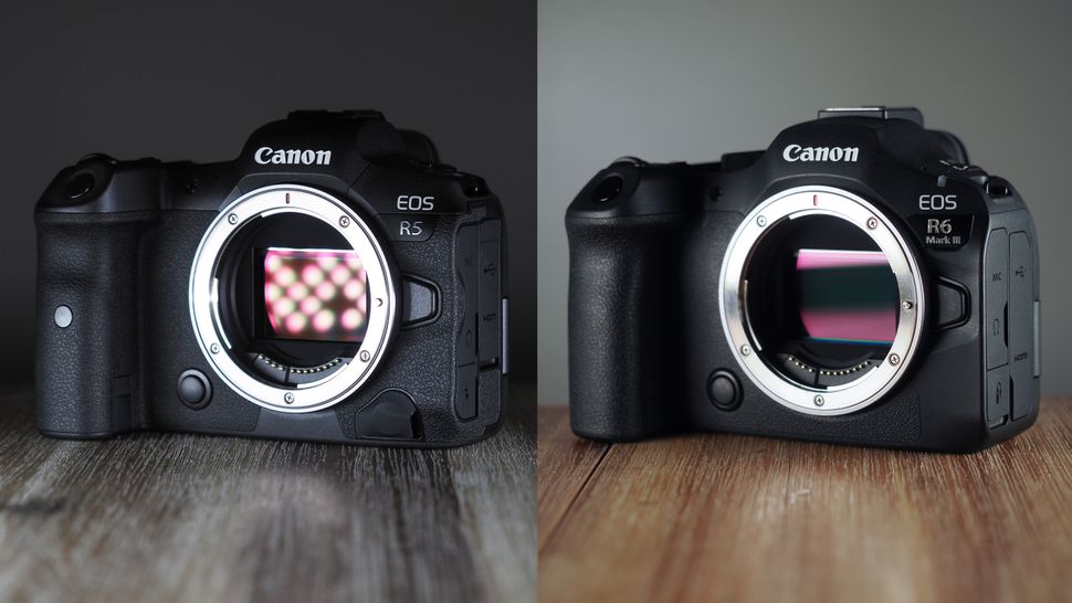 Eos R5 Vs R6 Canon EOS R5 vs R6 Mark III: You might be surprised at which camera is ...