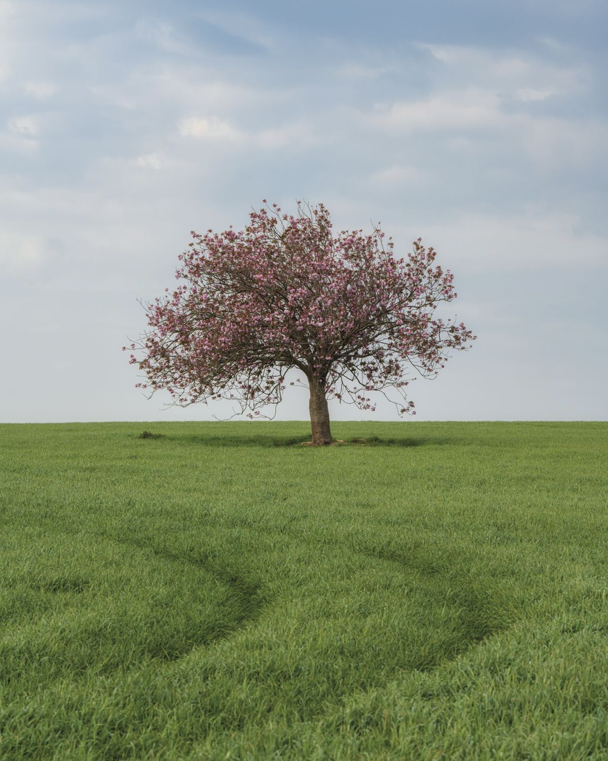 10 ways to create a work life balance with your photography | Digital ...