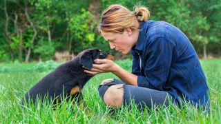 Rottweiler puppy and loving owner