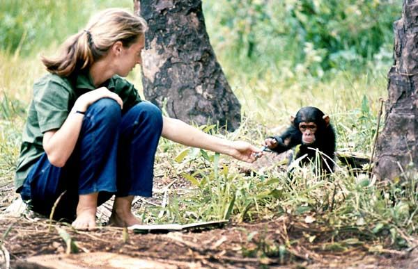  jane goodall