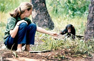 jane goodall research paper