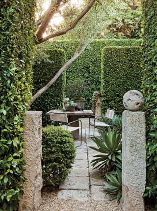 garden fencing ideas with a privet hedge