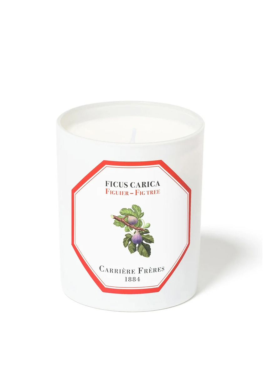 Carri&amp;egrave;re Fr&amp;egrave;res, Fig Tree Scented Candle