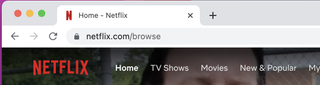 A view of the URL field in Chrome before you enter a netflix secret search code.