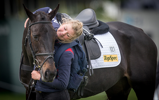 Time out: Nicola Wilson’s ride Annie Clover ahead of her dressage test