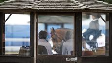 GettyImages-118228237.jpg
