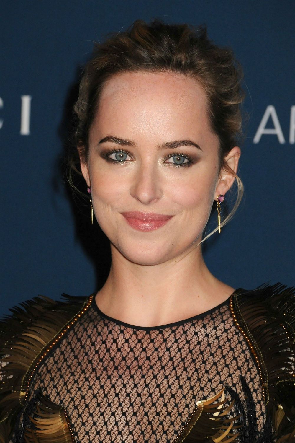 Dakota Johnson stuns on the red carpet