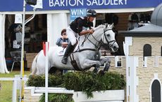 HorseNo125_Barbury15pn_26355.jpg