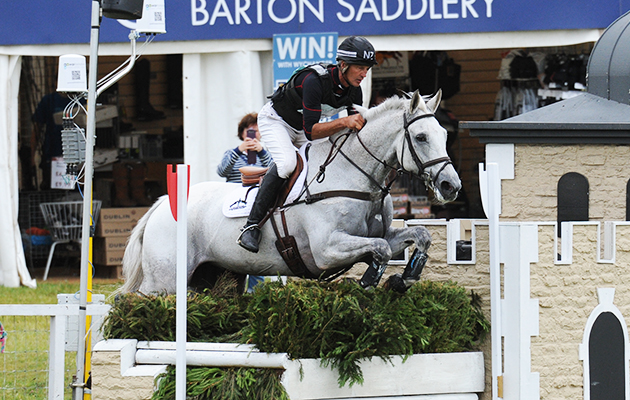 HorseNo125_Barbury15pn_26355.jpg