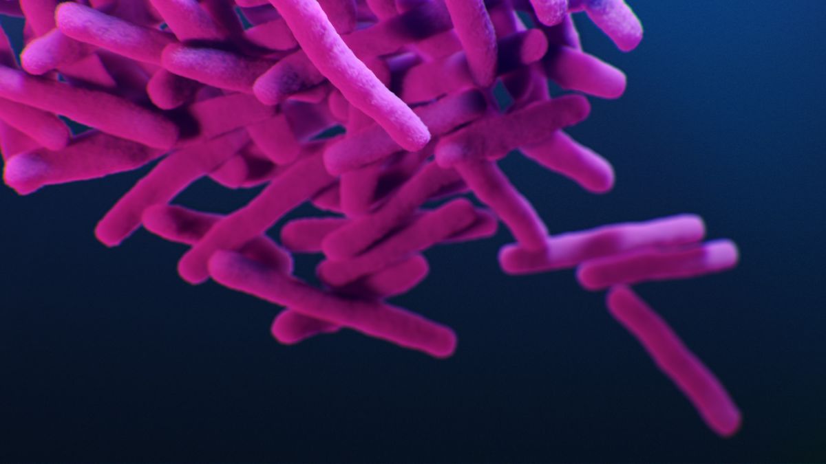 an illustration of the bacteria behind tuberculosis