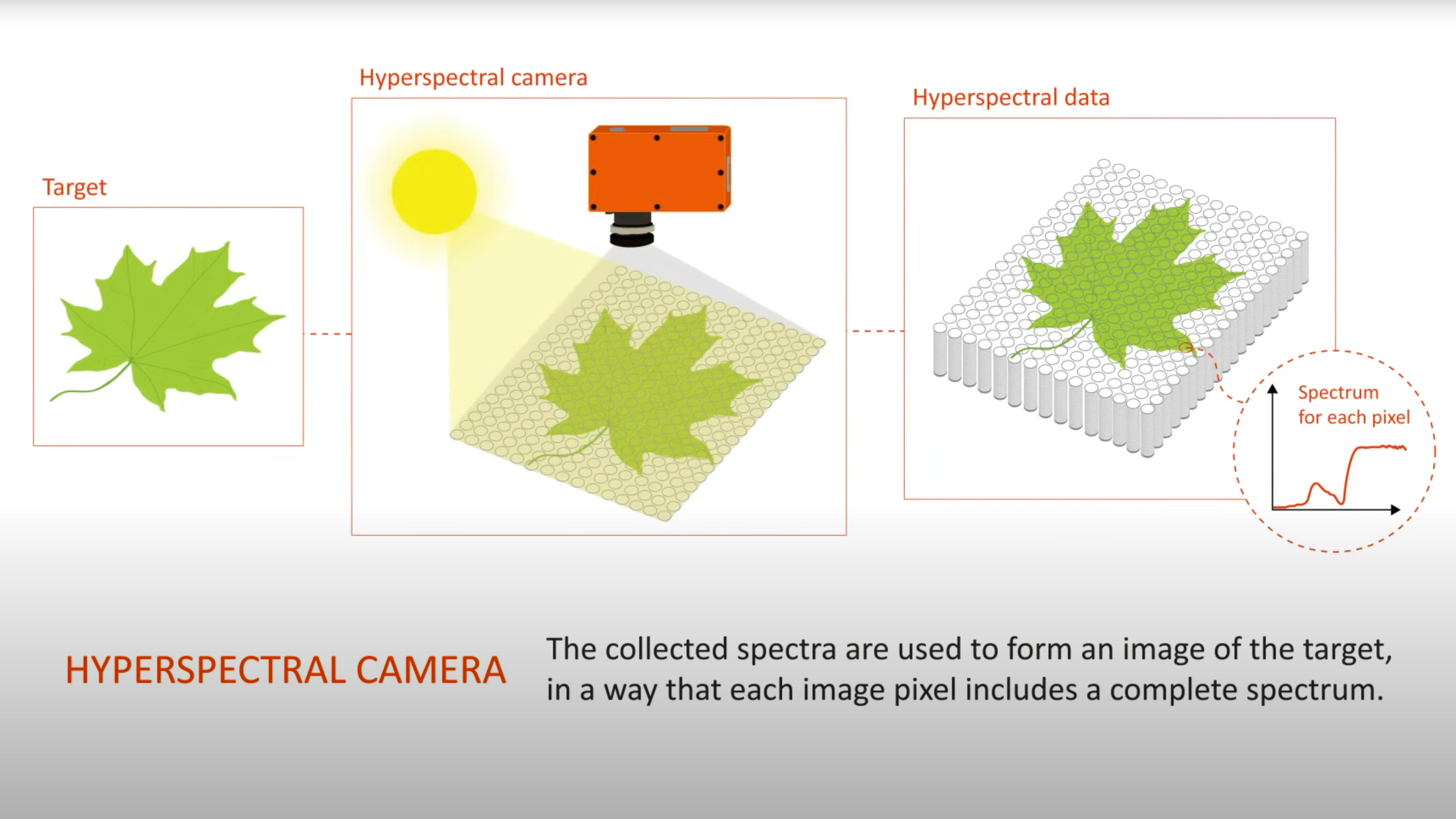Graphic showing a hyperspectral camera