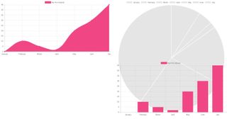 pie charts taking over the screen