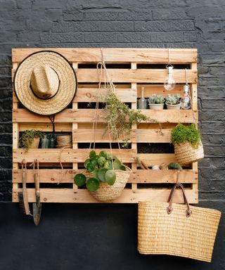 wooden shelving with plant pots and bulbs