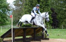 rockingham-andrew-hoy.jpg