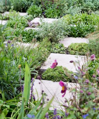 paved stepping stones interspersed with green planting