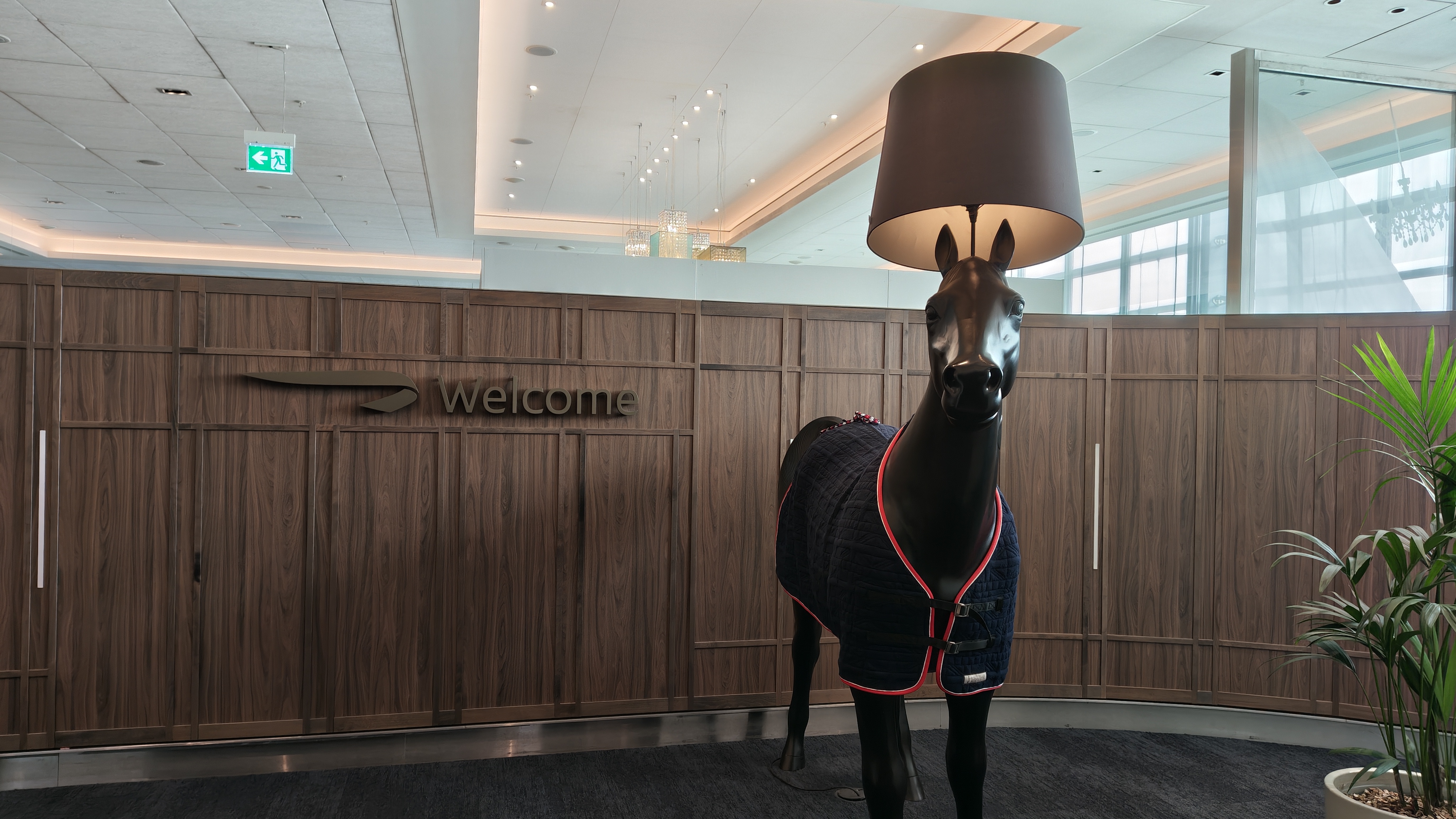 Nothing Phone (4a) Pro review camera samples